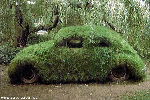 Carro Camuflado
